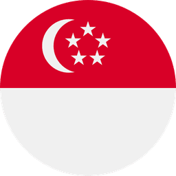 Singapore Dollar country flag